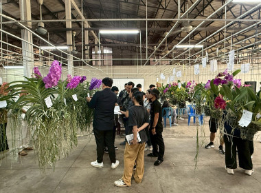 ลงพื้นที่ศึกษาแนวทางการจัดงานประกวดกล้วยไม้ของสมาคมพฤกษชาติแห่งประเทศไทย ในพระบรมราชูปถัมภ์ ณ บางกอกฟลาวเวอร์ เซนเตอร์ เขตหนองแขม กรุงเทพมหานคร ... พารามิเตอร์รูปภาพ 22